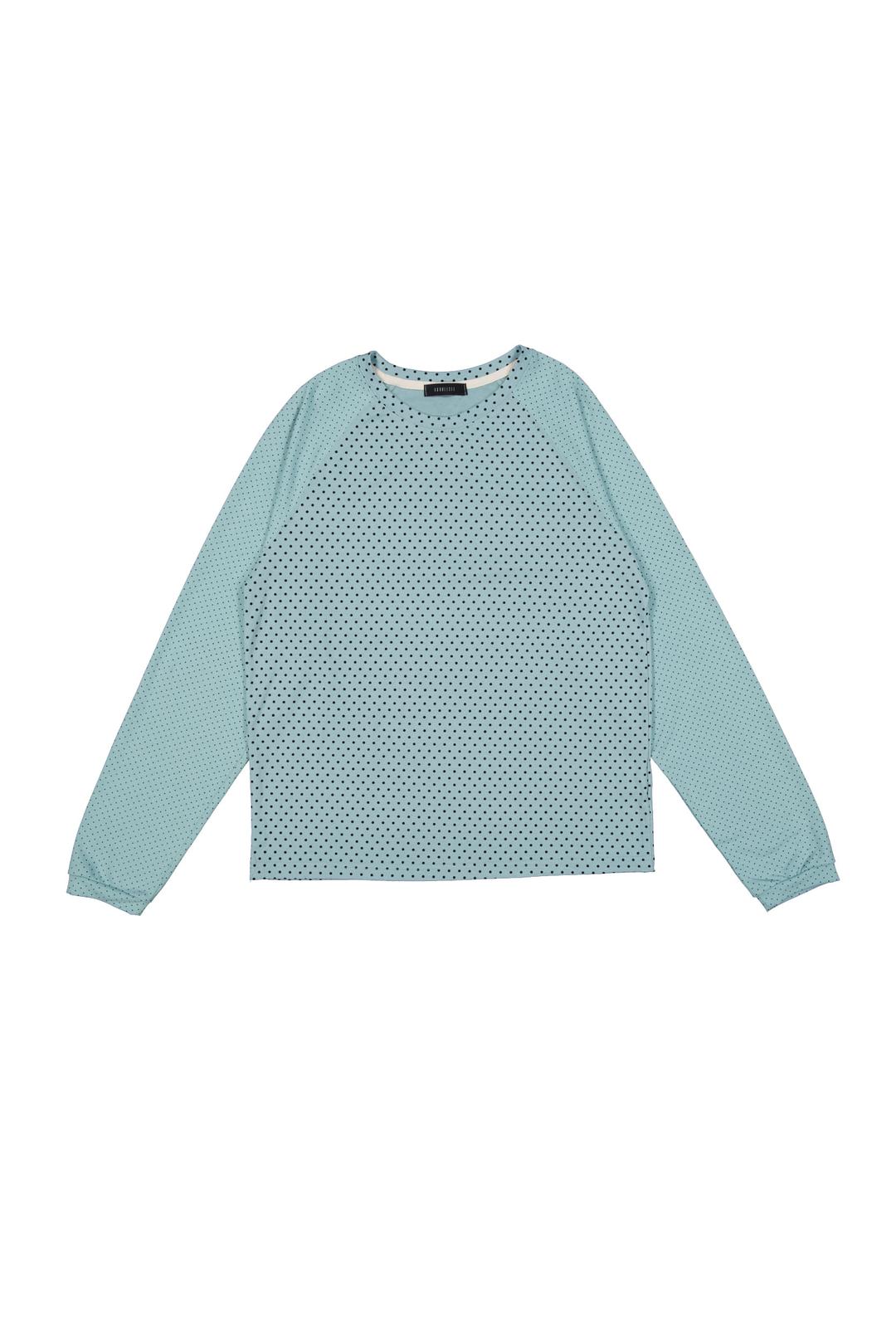 Candy Dot Raglan Tee (mint)