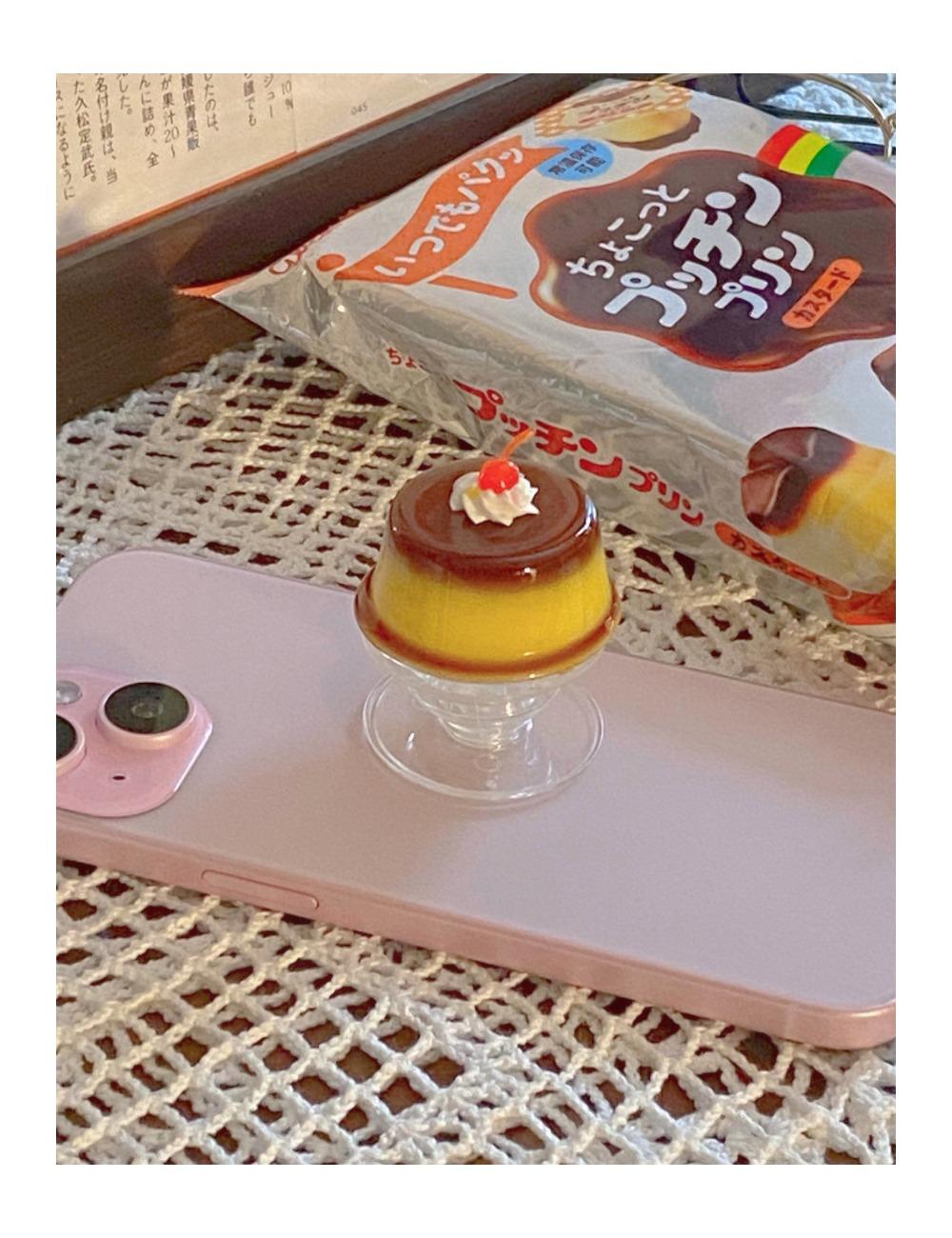 푸딩(プリン) 레진 톡