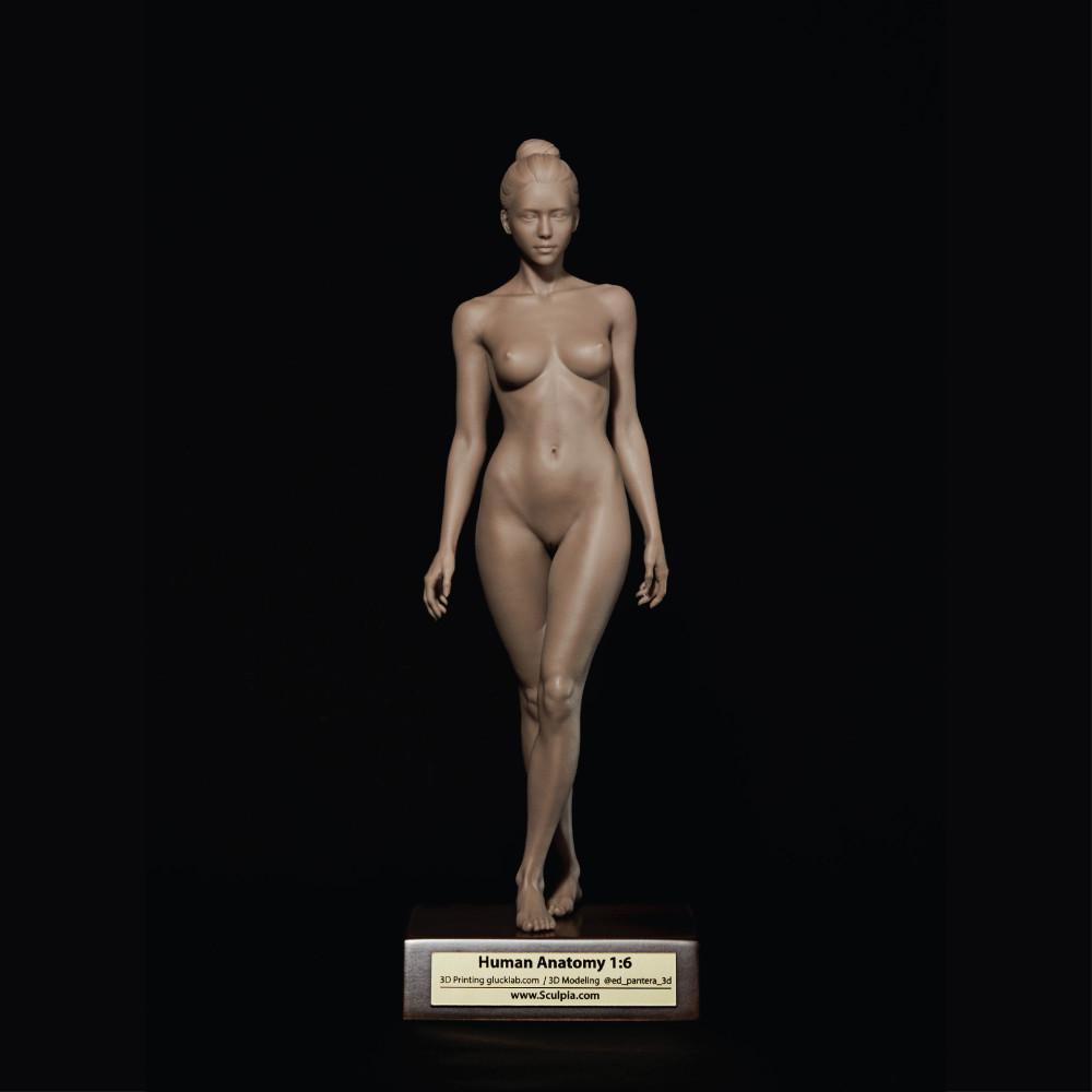스컬피아 인체모형 아나토미 피규어 (3D Printed 1/6 scaled) (O_F2)