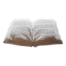 OPEN BOOK Cushion L · 0.1