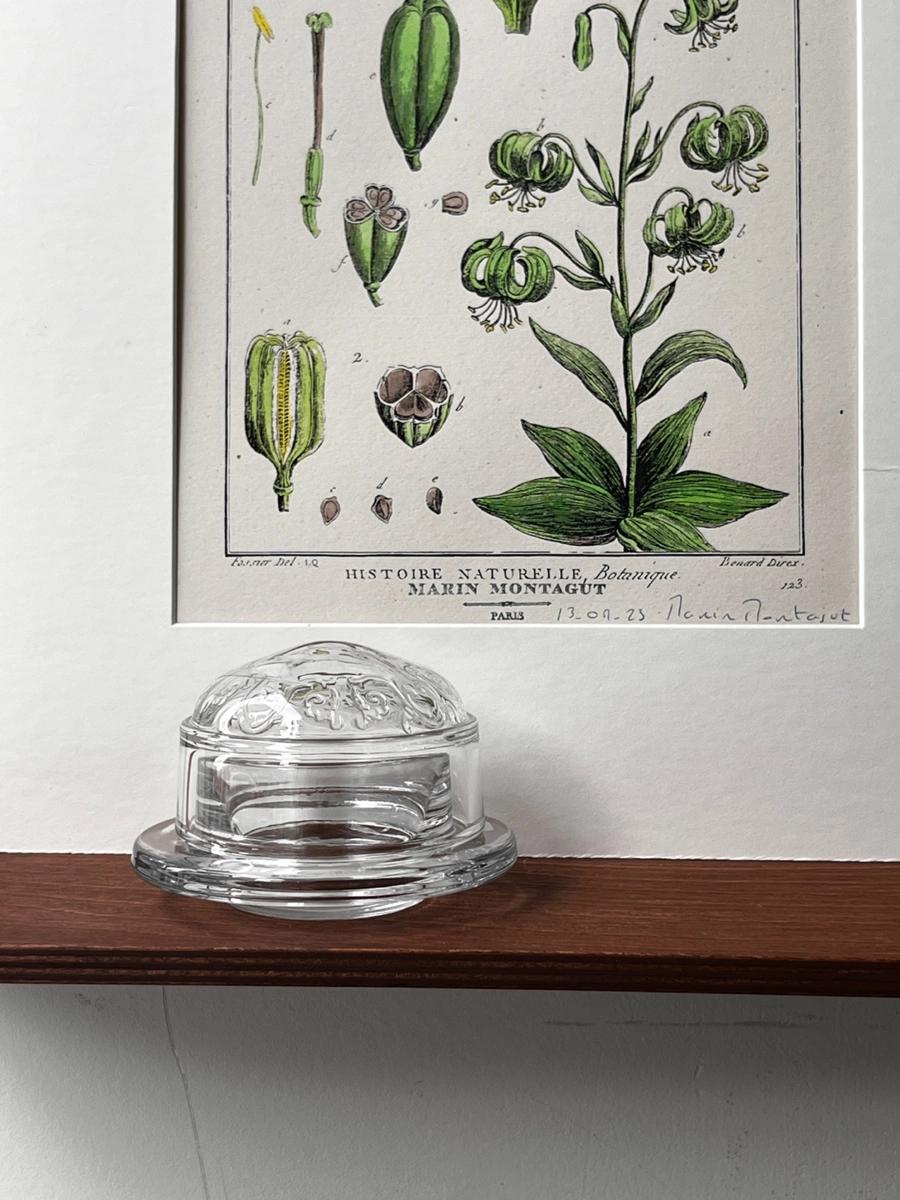 프랑스 넝쿨장식 버터돔 SET