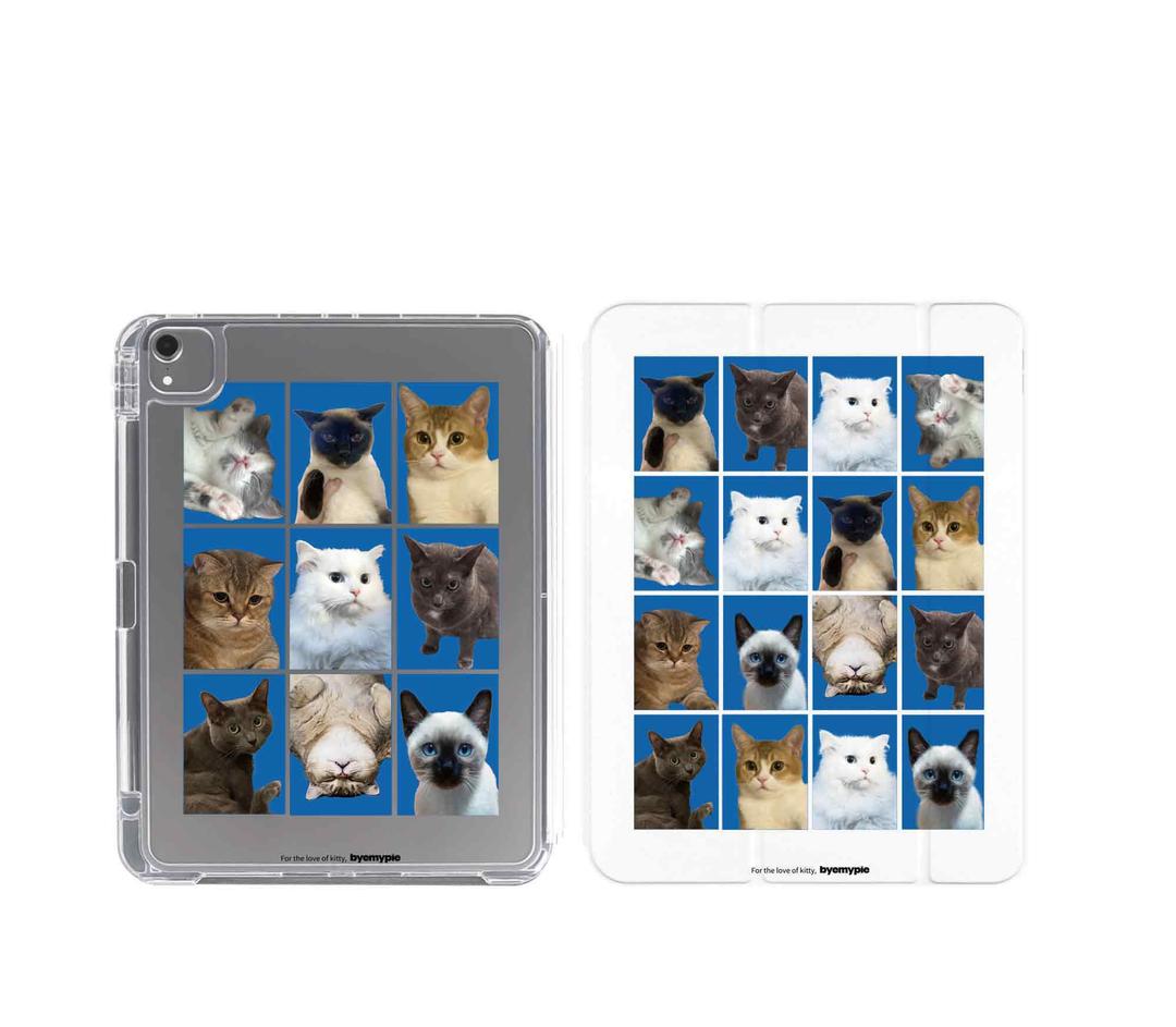 iPad Case -  ID photo : Kitty
