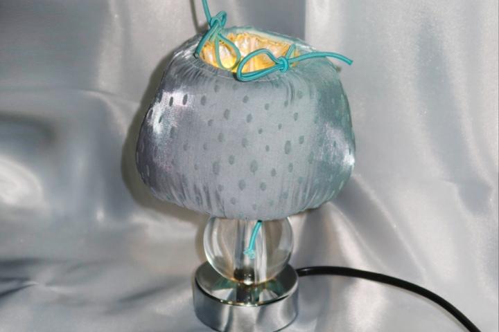 strawberry lamp