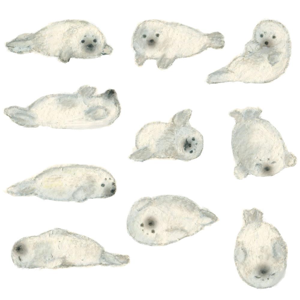 하프물범 스티커