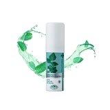 SIAM COSMECEUTICAL 덴티스테 후레쉬 브레스 스프레이 15ml