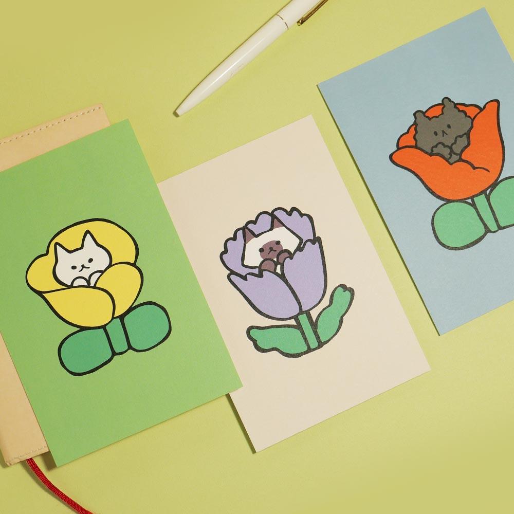 엽서 꽃 속에 고양이