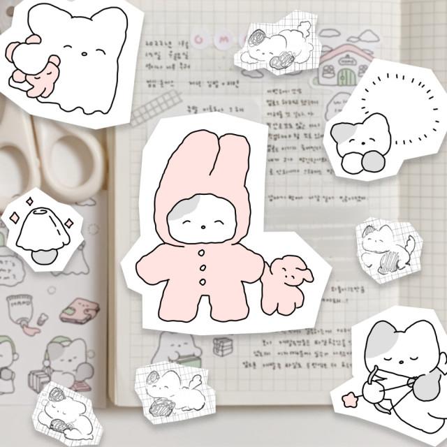 1월 신상 올인원팩