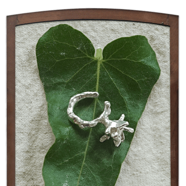 Waterlily, silver earcuff