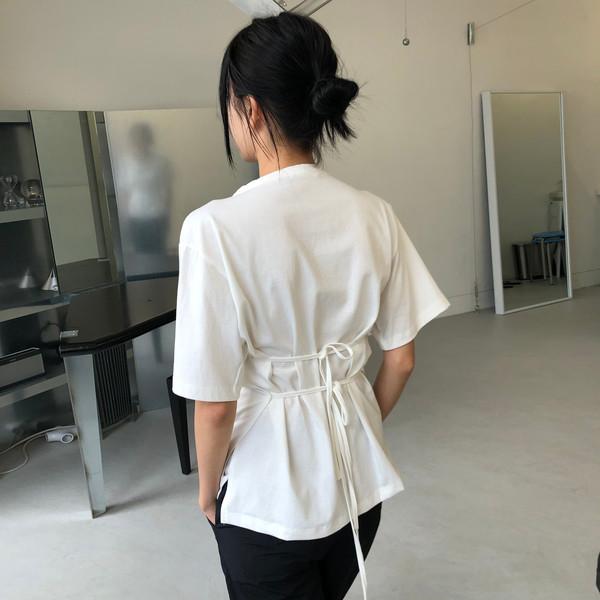 레이어 T