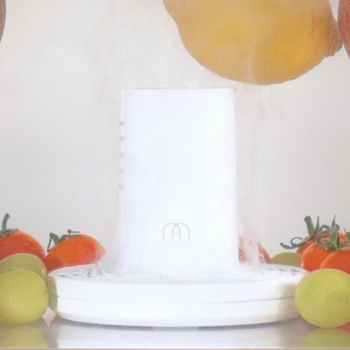 모오아 안녕 과일세척기 V2