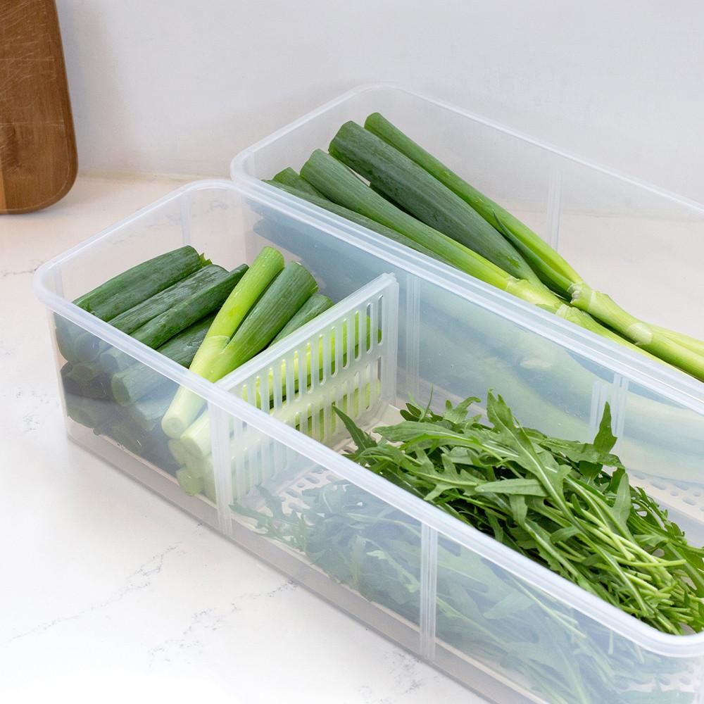 야채싱싱트레이 야채보관용기
