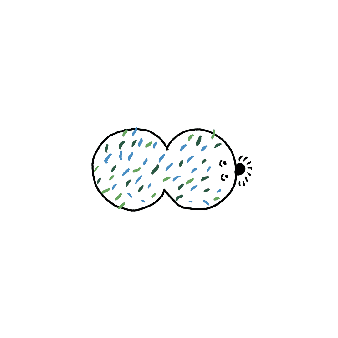 밤송이코 애벌레