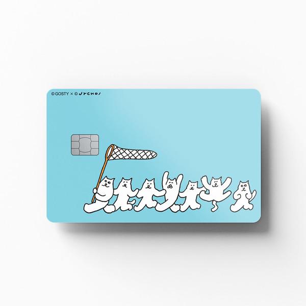 줄줄이 고양이｜ⓒ최진영