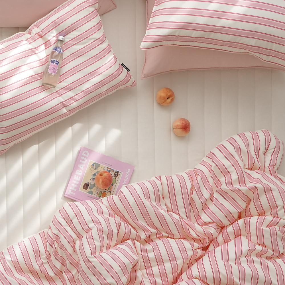 NEW 퐁신퐁신 소프트포밍 먼지없는 사계절 항균 옥수수솜 차렵이불 SS