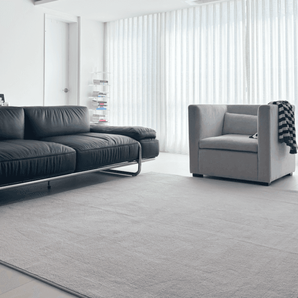 2025 NEW color 뉴트럴 그레이지, 소프트 브라운