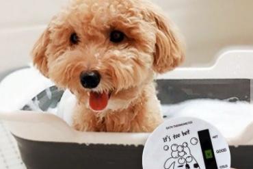 접이식 욕조 폴딩텁 (그레이/핑크/베이지)