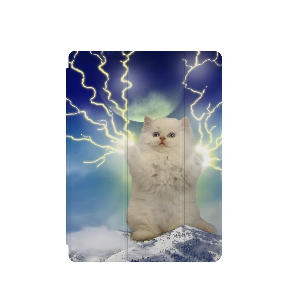 유니크 썬더 고양이 아이패드 케이스