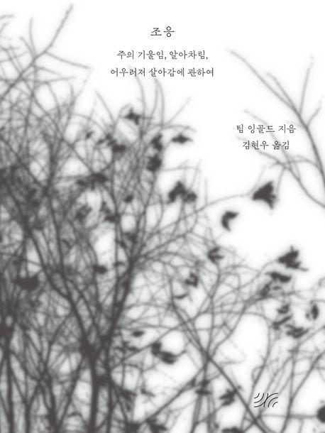 조응