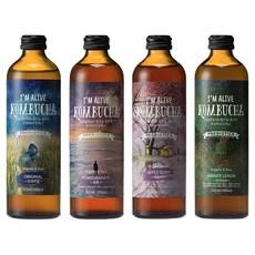 아임얼라이브콤부차 유기농 탄산음료 종합세트