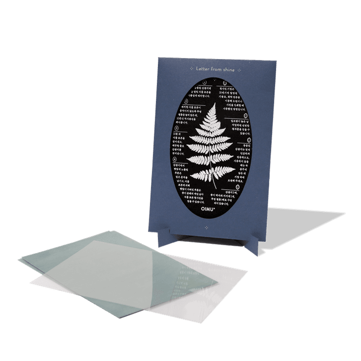 청사진 카드 _ 쪽색