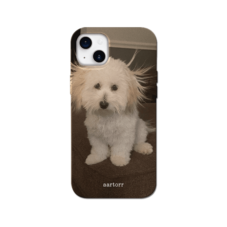 아르토르 Electric puppy 하드케이스