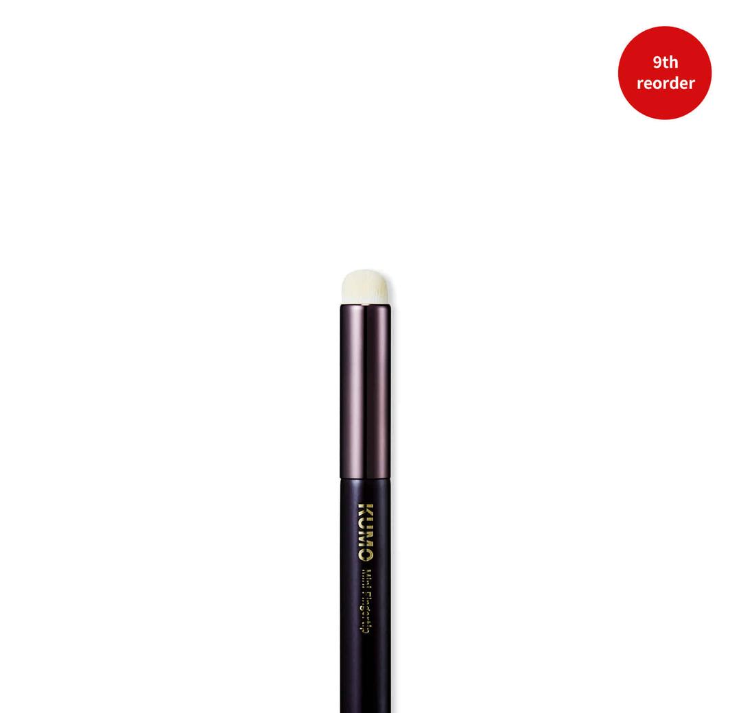 미니 핑거팁 브러쉬 with 헤이다