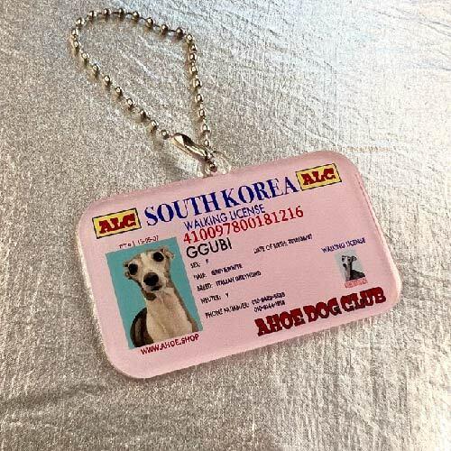 DOG LICENSE