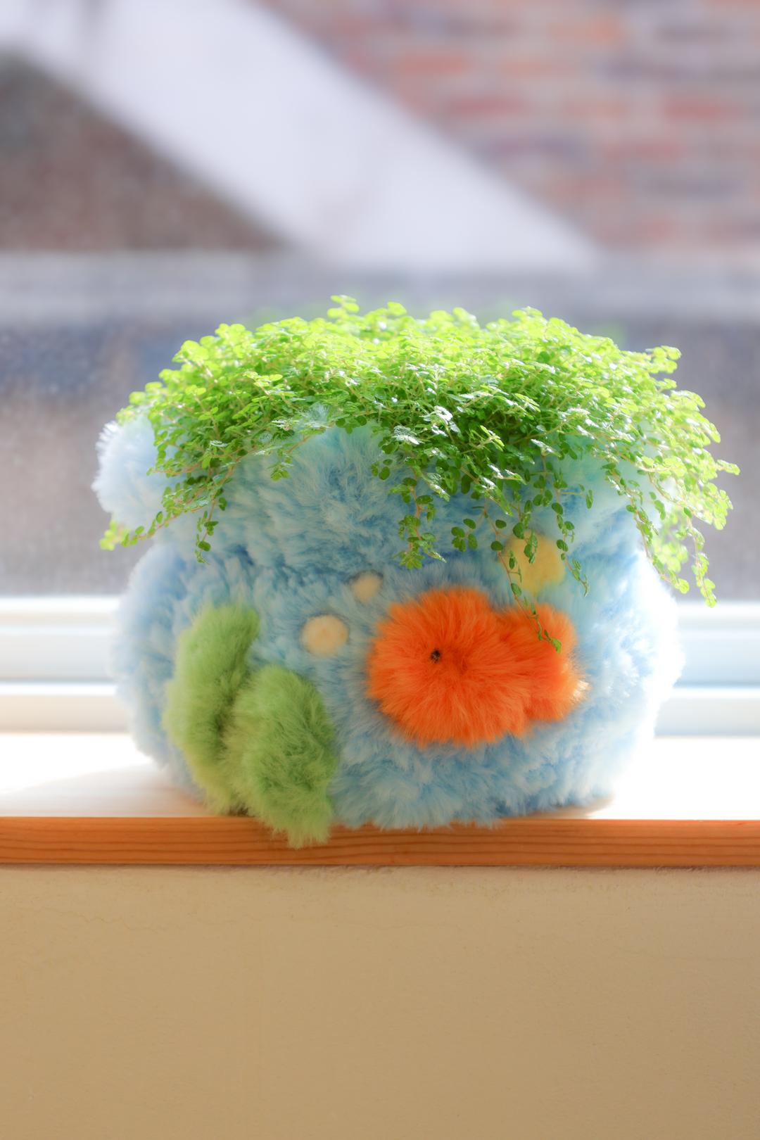 작은 바다,어항