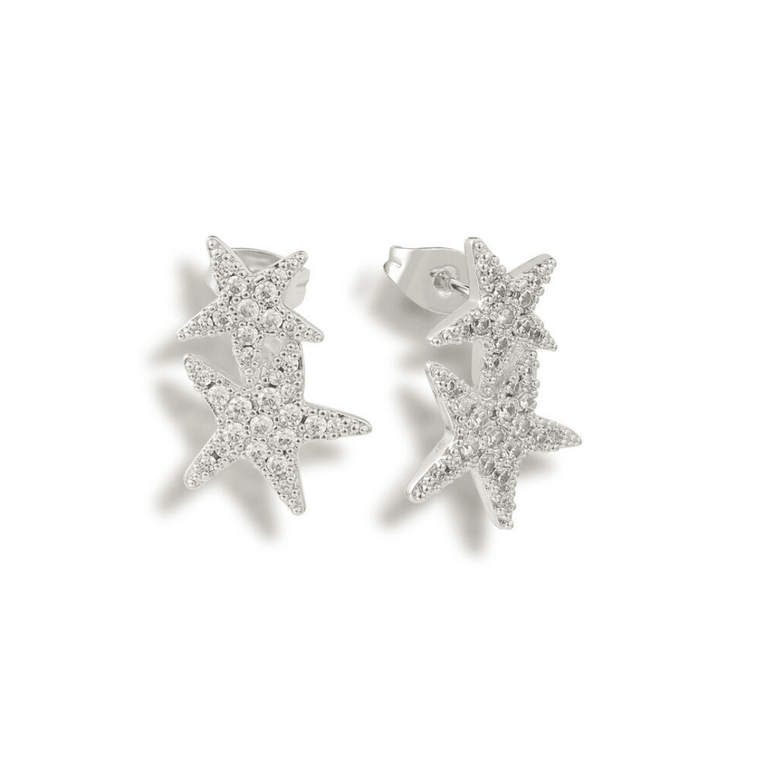 Hidden in the Sand Earrings - Silver