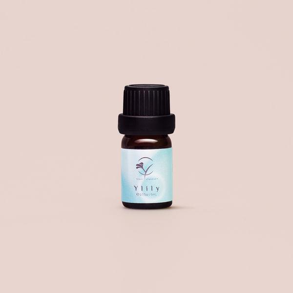 Y LILY [와이블룸 와이릴리]
