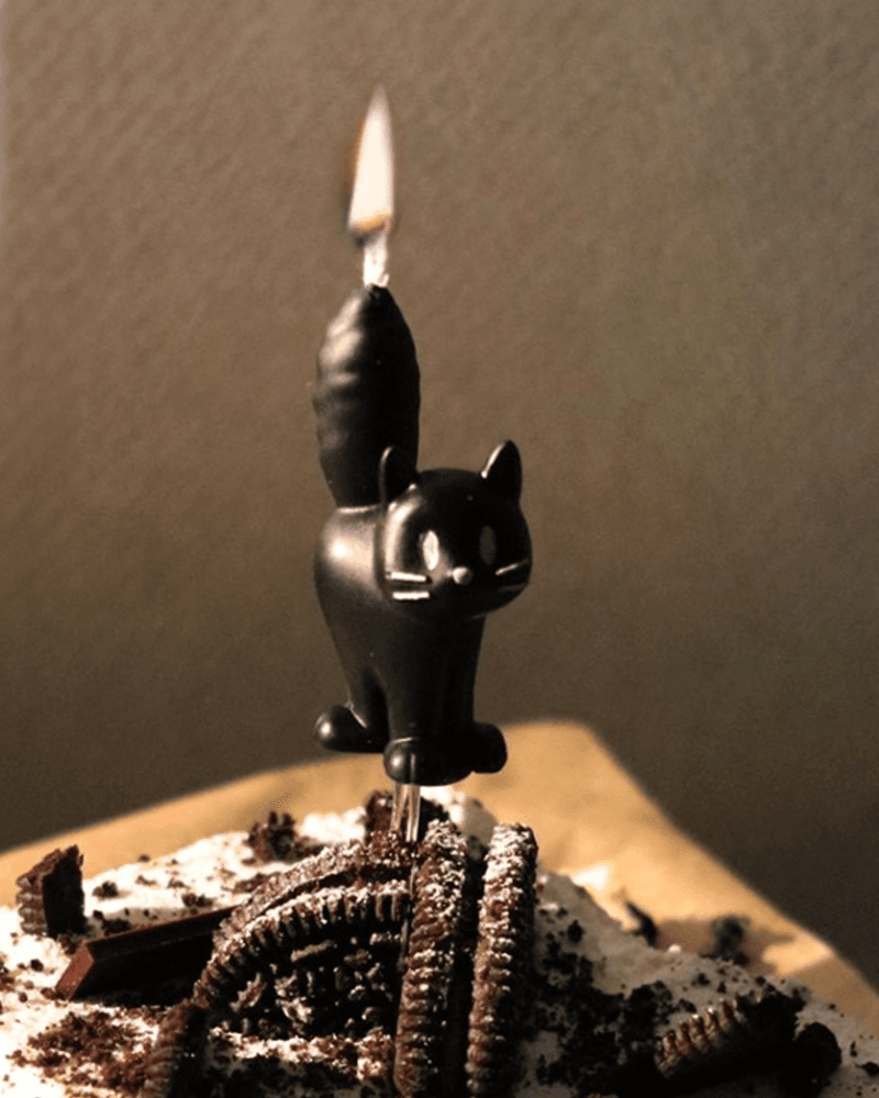 서프라이즈 캣 케이크 캔들
