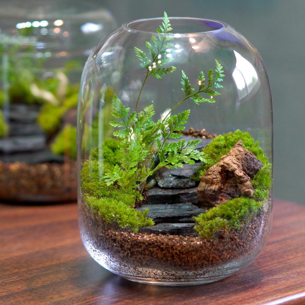 돌계단 이끼 테라리움 키트 DIY 만들기