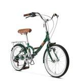 컬러풀 레온 자전거