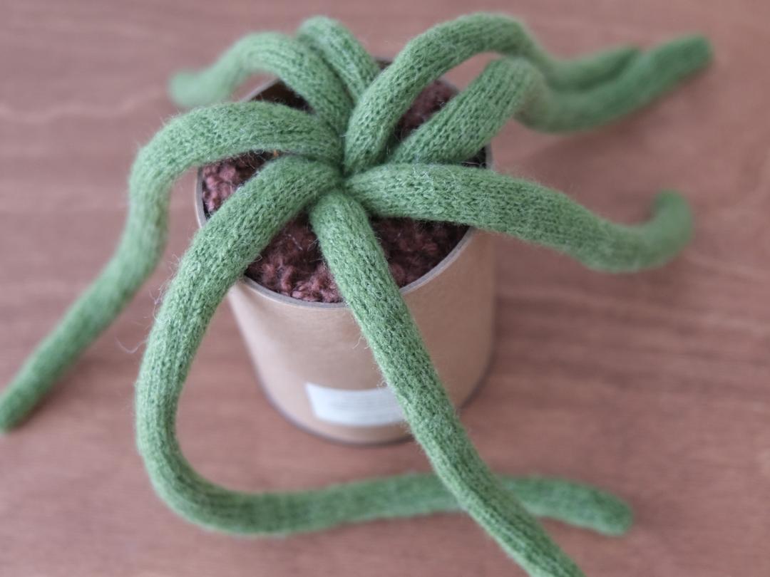 (추석 이후 발송) 패브릭 행잉 선인장