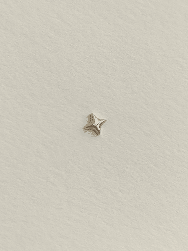 르앙 [14k gold] 트윙클 인터널 라블렛 피어싱