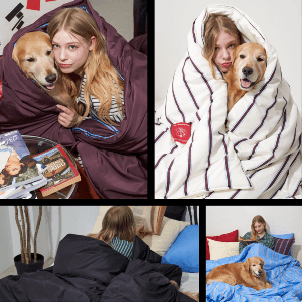 Furless Reversible Seamless Duvet(4color 2size)