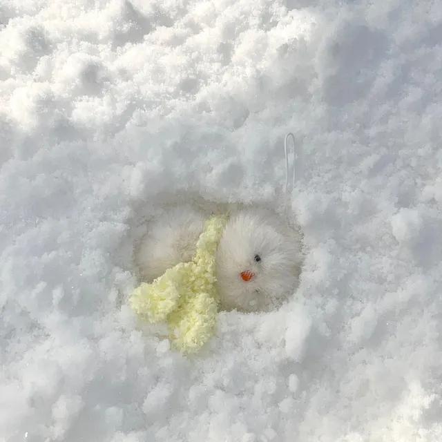 💛OPEN💛 댕댕이 아기눈사람 인형키링(핸드메이드)