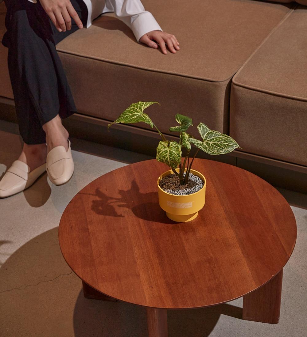 Pot Copenhagen X Soomin