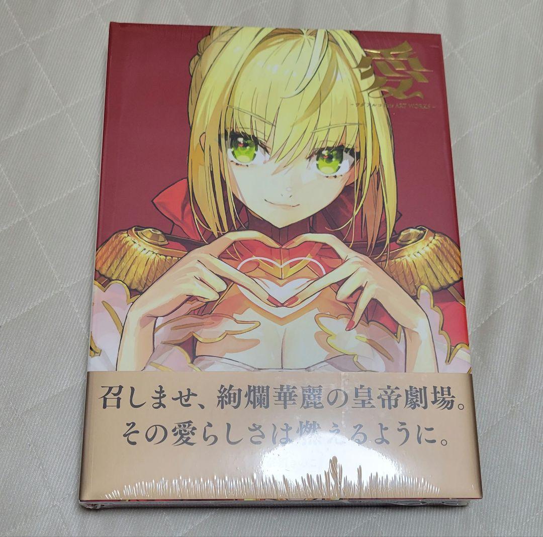 愛 -Fate ART WORKS- 画集