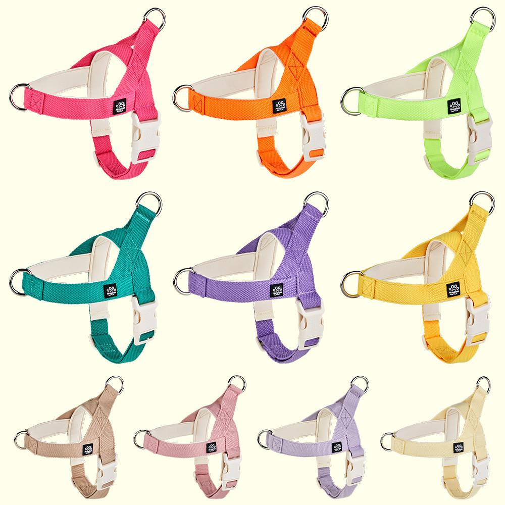 강아지 하네스 앞섬방지 앞고리 소형견 가슴줄 팔레트 파스텔