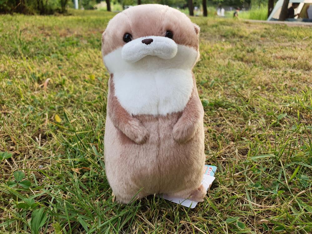 소소해피 어뮤즈 클래식 앙증맞은 수달 해달 인형 17cm / 애착 동물 인형 키링