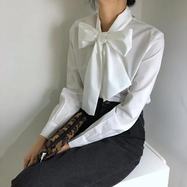 아드리안 빅리본블라우스