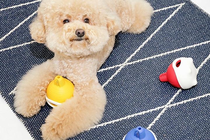 오래 노는 강아지 노즈워크 장난감 닥터설 멀티볼 3종