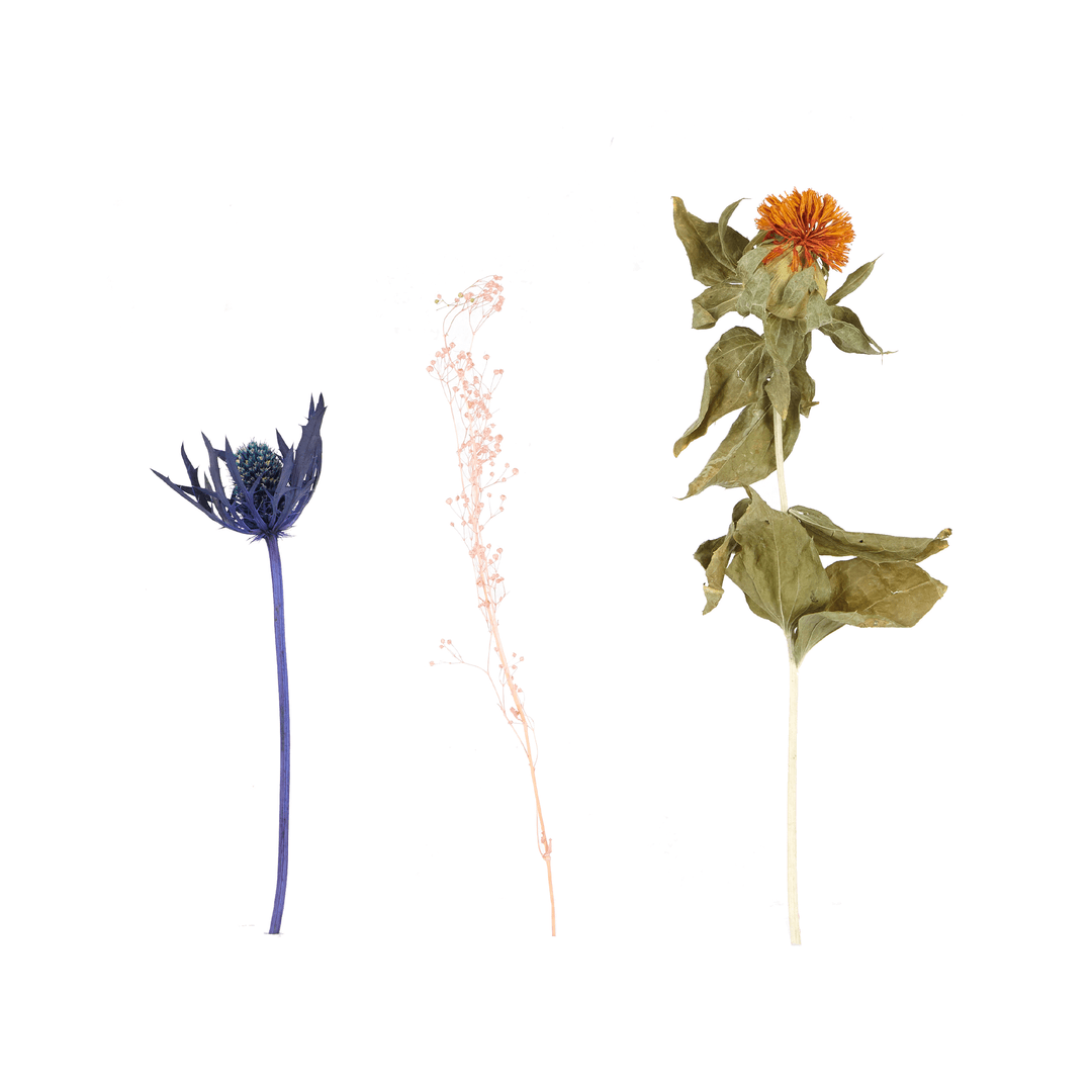 Small Assorted EW.Pharmacy for Curves 'Dry Flower Bouquet'