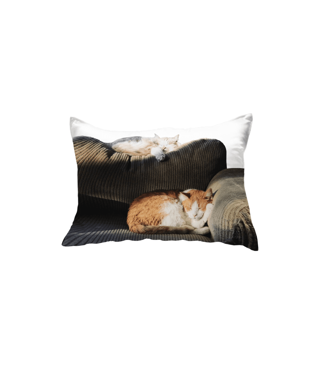 sofa cat pillow cover