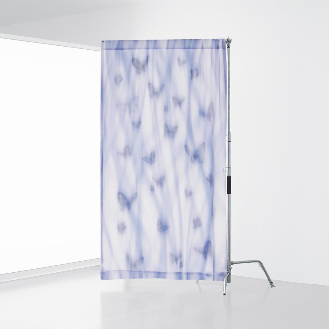 (Doppel) Dance of the butterfly / 나비의 무용