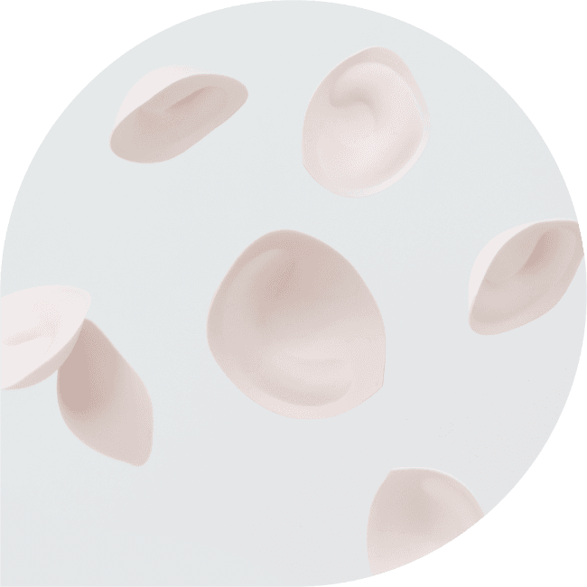 더핏브라 시크릿패드