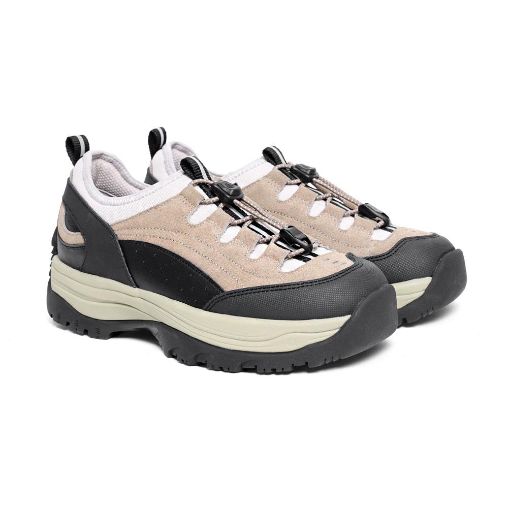 Blue Mountains Begie