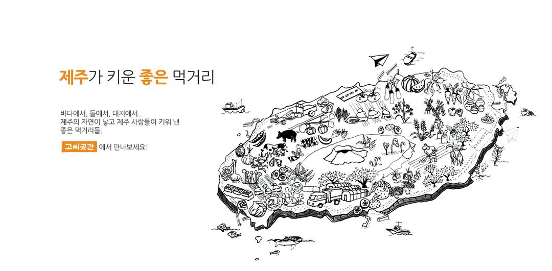 고씨곳간 유기농 제주 호지차 분말 100g