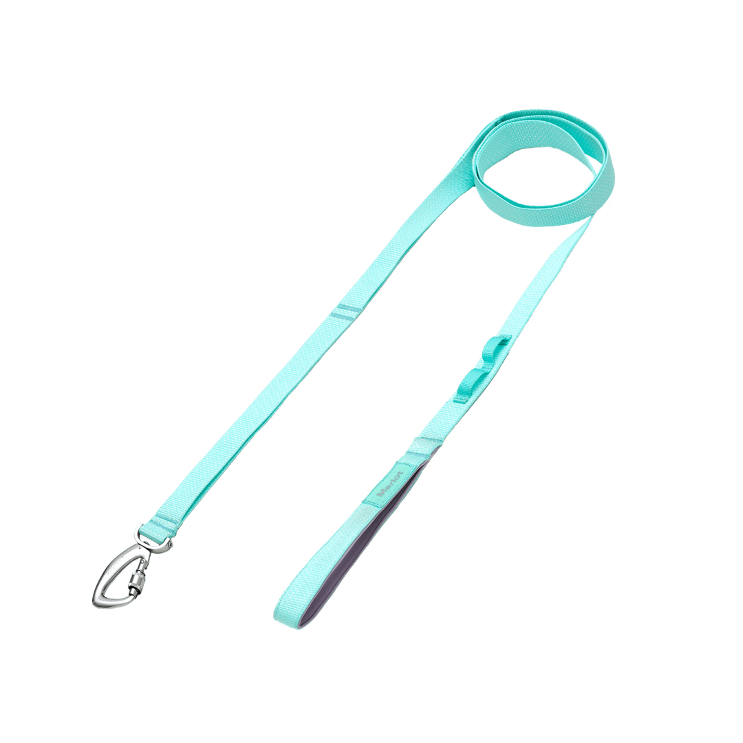 Ardor™ Leash Mint